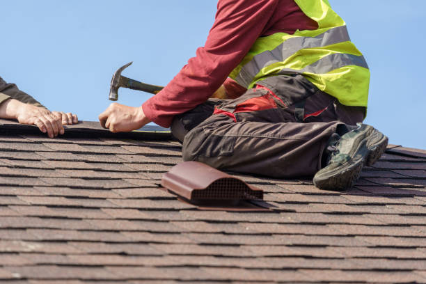 Best Roof Gutter Cleaning  in Vandalia, OH